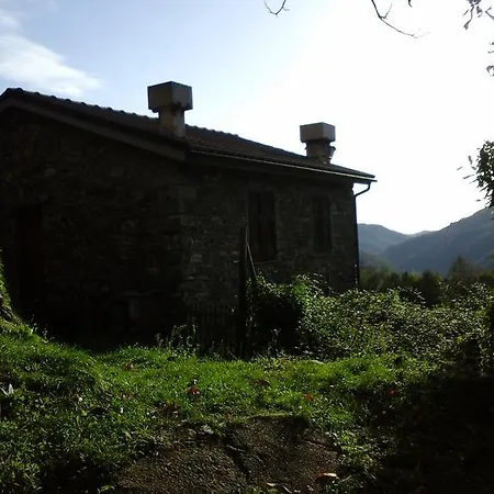 Casa Tra Gli Ulivi בית כפרי *