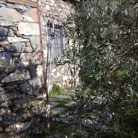 בית כפרי Casa Tra Gli Ulivi