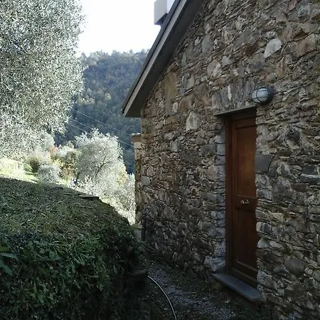 Casa Tra Gli Ulivi בית כפרי